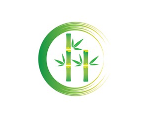 Bamboo with green leaf vector icon