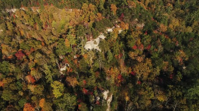 Red River Gorge forest in Slade, Kentucky, aerial