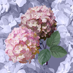 Floral seamless pattern with hydrangea vector illustration