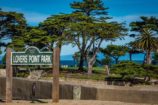 Lovers Point Park on the Monterey Peninsula in Pacific Grove, in central California, with Monterey Cypress and Palm trees, sits on a bluff overlying a sandy beach below.  
