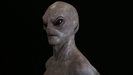 Grey Alien on black #4