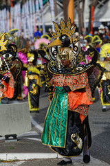 Un oiseau s'invite à la parade du littoral de Kourou en Guyane française