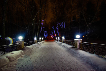 winter night landscape