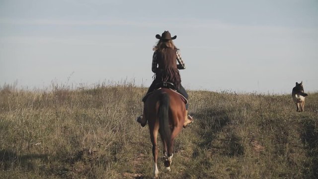 Cowgirl at brown horse with running horse in slow motion outdoors. Woman riding horse in slow motion with copyspace