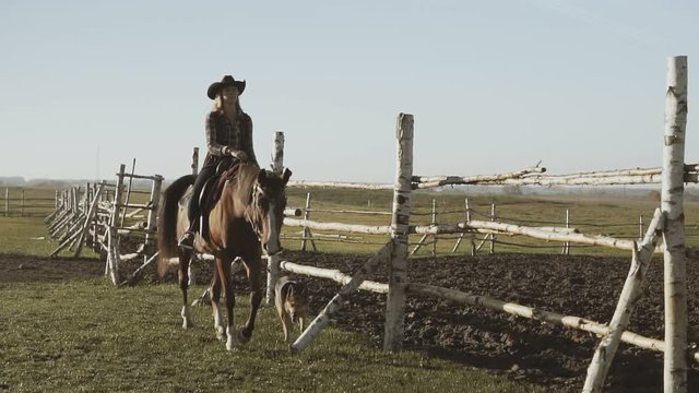 Young cowgirl at brown horse in slow motion outdoors. Beautiful woman riding horse with dog along fence.