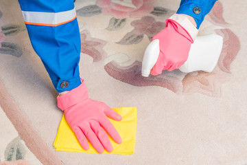 persons hands in protective gloves clean carpet b