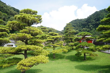 japanese garden
