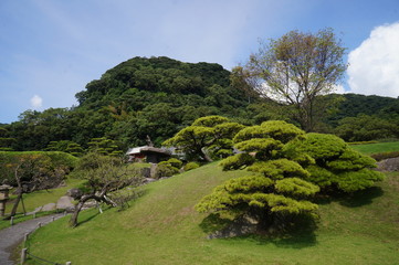 landscape with trees