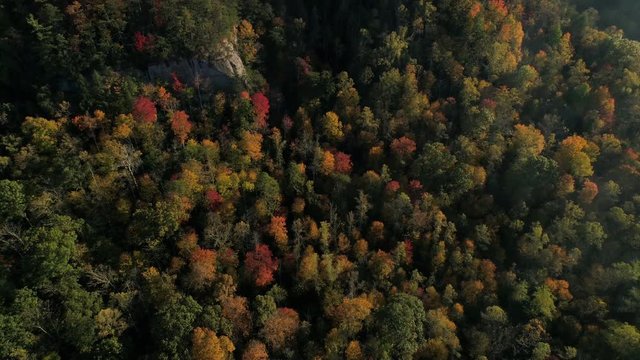 Aerial, overhead view of Red River Gorge forest in Slade, Kentucky
