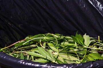 clean up after harvest