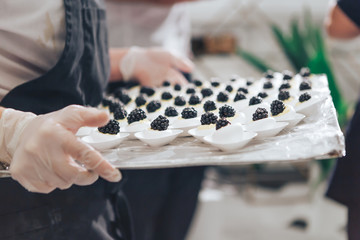 Exclusive blackberry cupcakes handmade on a tray. Variety of delicious party dessert food