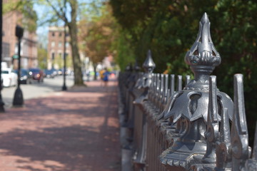 Fototapeta premium Park Fenece