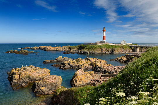 Rocks at Buchan Ness headland with lighthouse and Queen Annes Lace flowers at Boddam Aberdeenshire Scotland UK on the North Sea