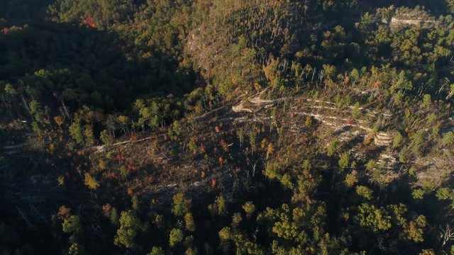 Aerial, Red River Gorge woods in Slade, Kentucky