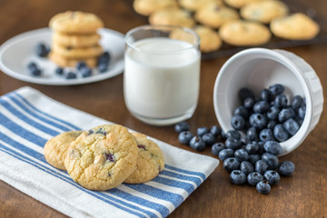 Blueberry and White Chocolate Chip Cookies with fresh blueberries