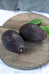 Two whole ripe raw hass avocados close up
