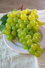 Ripe organic vine of white table seadless grape from Italy, new harvest