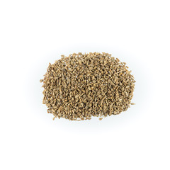 Dried Herbs,ajowan,Trachyspermum ammi (L.) Sprague,Carum copticum Bentham et Hooker filius, Trachyspermum copticum (L.) Link, Sison ammi L.,Umbelliferae