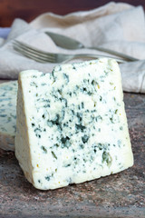 Fourme Ambert and Blue Auvergne semi-hard AOP French blue cheeses made from raw cow milk in Auvergne, France