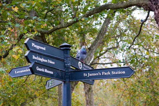 st james park,London,England,United kingdom, Europe