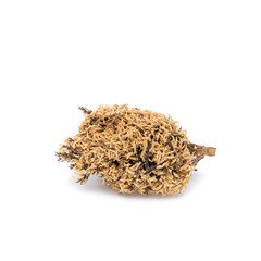 Dried Herbs,Pandanus odoratissimus L.,Pandanaceae