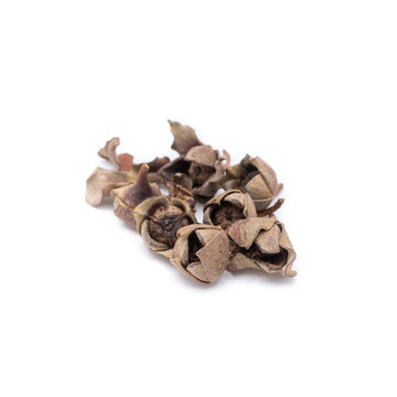 Dried Herbs,White cheesewood, Devil tree, Lamdman,Melodorum fruticosum Lour.,ANNONACEAE.
