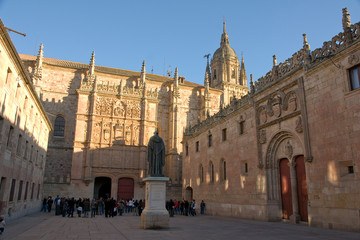 Plaza Patio Escuelas Menores,Fundacion Doctor Moraza,Universidad de Salamanca,rana,Salamanca,Castilla-Leon,Spain