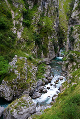 Cares Canyon. Picos de Europa National Park, Le—n province, Castilla-Le—n, Spain