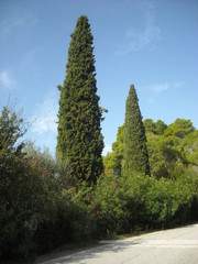 GREECE, OLYMPIA
