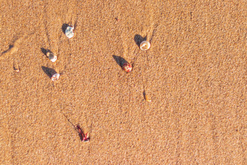 footprints in the sand