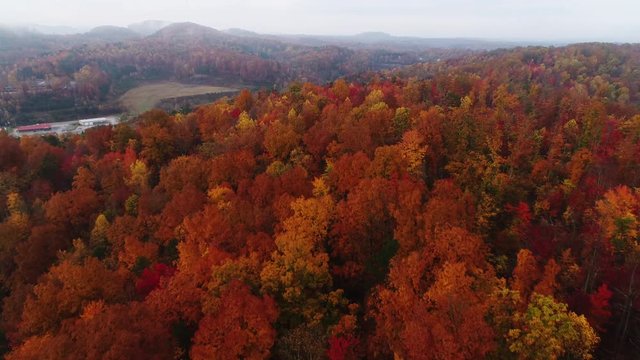 Daniel Boone National forest, autumn aerial