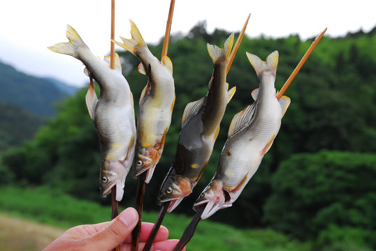 680 最適な 魚串焼き 画像 ストック写真 ベクター Adobe Stock