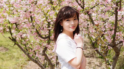 Outdoor portrait of beautiful young Chinese girl smiling among blossom cherry tree brunch in spring garden, beauty, summer, emotion, expression and people lifestyle concept.