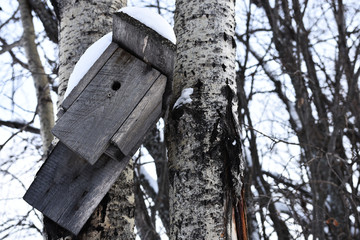 Old Weathered Birdhouse