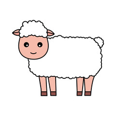 sheep farm animal