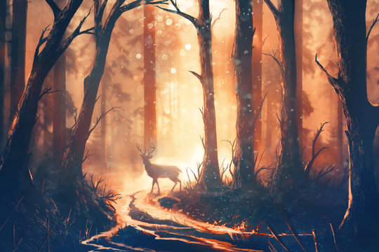 Illustration of a deer in warm forest