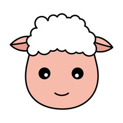 sheep face animal