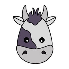 cow face animal