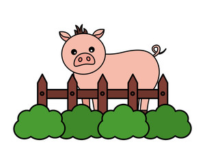 pig fence farm