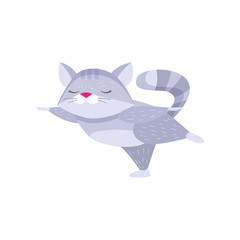 Cute raccoon doing swallow exercise and meditating isolated on white background