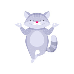 Obraz premium Cute raccoon standing on one leg in zen position and meditating isolated on white background