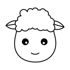 sheep face animal