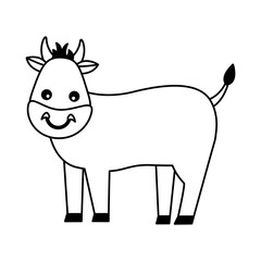 bull farm animal
