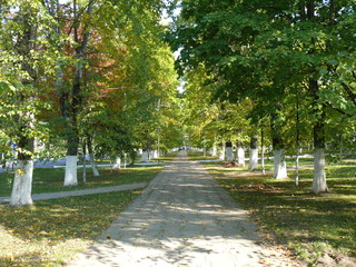 empty city alley in the day