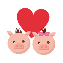 cute couple pigs love heart