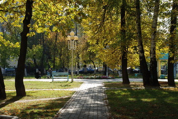 autumn in the park