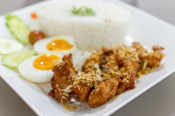 Fried Chicken with Garlic Pepper and boiled egg on Rice