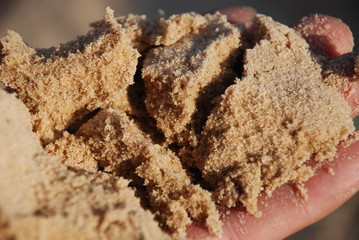 sand on the palm