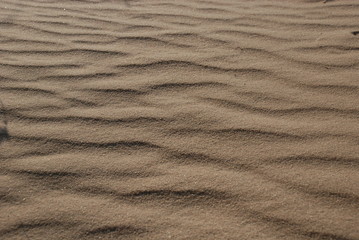 ripples in the sand