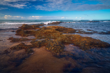Wavy Ocean at San Juan Puerto Rico 